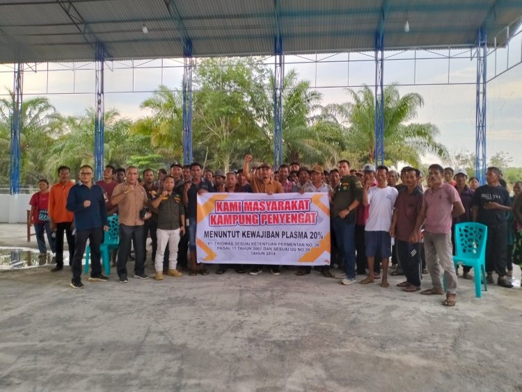 Kebun Kelapa Sawit PT TRIO MAS FDI Di Anggap Kangkangi Permentan No.26 Pasal 11 Tahun 2007 Dan UU No. 39 Tahun 2014
