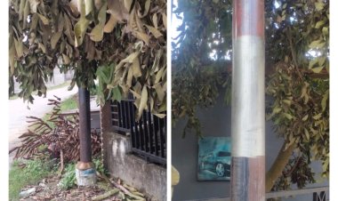 Warga Menduga Pemasangan Kabel Instalasi Telkom tidak Sesuai Dengan SOP Dan Asal Asalan