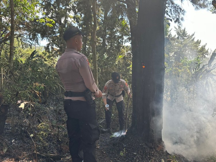 Bersama Petugas Gabungan, Polisi Berusaha Padamkan Kobaran Api di Hutan Pinus Kalijoyo Pekalongan