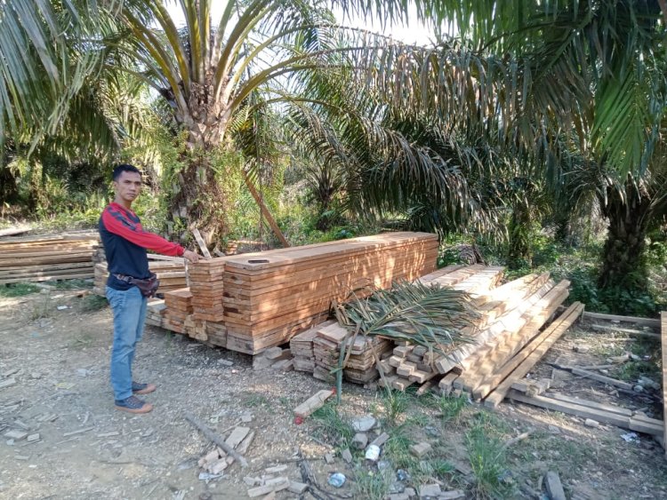 Kembali, Kapolsek Kampar Kiri Tangkap Kayu Pecahan Tidak Bertuan