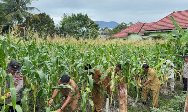 Wujud Nyata Komitmen Polsek Daik Lingga Dukung Ketahanan Pangan Nasional