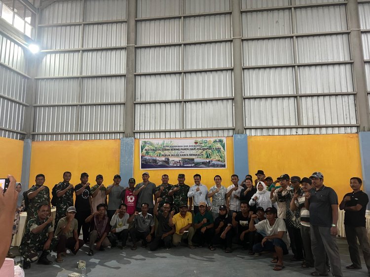 Serap Gabah di Siak, Bulog BengkalisTarget Penyaluran Capai 66 Persen