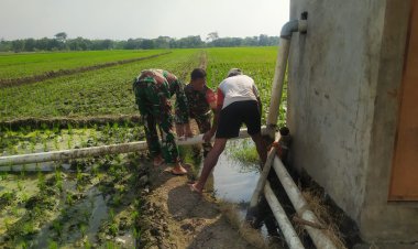 Babinsa Bantu Pasang Pipa Irigasi, Sawah Petani Sragen Lancar