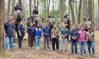 Melestarikan Lingkungan dan Keanekaragaman Hayati Dalam Mendukung Wisata Edukasi Konservasi Gajah di Aek Nauli