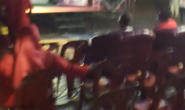 Malam Hiburan HUT RI ke-80 Meriahkan Bagan Punak Pesisir Rokan Hilir