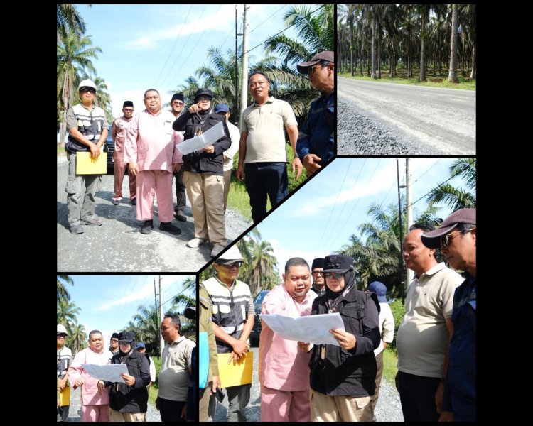 Bupati Afni Tinjau Pembangunan Jalan Dayun