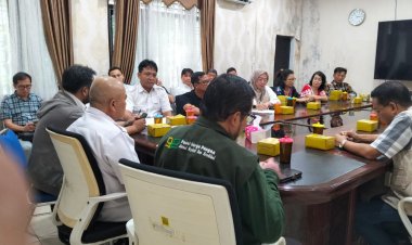 Pemerintah Didorong Tingkatkan Produksi Jagung Pakan