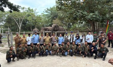 Kapolri dan Bupati Pelalawan Tinjau Tesso Nilo, Targetkan Pemulihan 81 Ribu Hektare Habitat Gajah