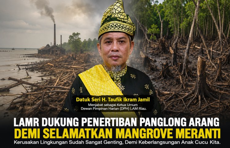 LAMR Dukung Penertiban Panglong Arang Demi Selamatkan Mangrove Meranti